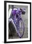 Purple bicycle on street, Limburg an der Lahn, Hesse, Germany-null-Framed Photographic Print