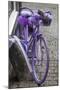 Purple bicycle on street, Limburg an der Lahn, Hesse, Germany-null-Mounted Photographic Print