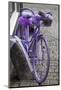 Purple bicycle on street, Limburg an der Lahn, Hesse, Germany-null-Mounted Photographic Print