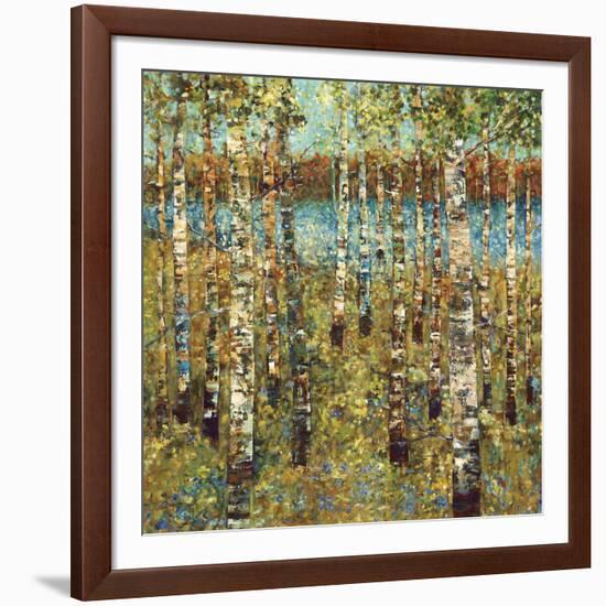 Purple Birch-Carmen Dolce-Framed Art Print