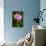 Purple Blossom-Erin Berzel-Photographic Print displayed on a wall