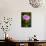 Purple Blossom-Erin Berzel-Photographic Print displayed on a wall