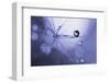 Purple bokeh-Heidi Westum-Framed Photographic Print