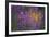 Purple Breeze-Peter Lilja-Framed Giclee Print