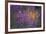 Purple Breeze-Peter Lilja-Framed Giclee Print