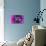 Purple Burlap-Tom Kelly-Giclee Print displayed on a wall