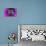 Purple Burlap-Tom Kelly-Giclee Print displayed on a wall
