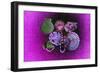 Purple Burlap-Tom Kelly-Framed Giclee Print