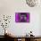 Purple Burlap-Tom Kelly-Framed Stretched Canvas displayed on a wall