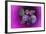 Purple Burlap-Tom Kelly-Framed Giclee Print