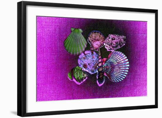 Purple Burlap-Tom Kelly-Framed Giclee Print