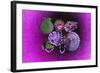 Purple Burlap-Tom Kelly-Framed Giclee Print