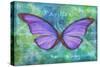 Purple Buterfly-Cora Niele-Stretched Canvas