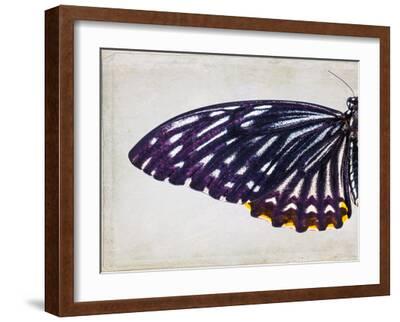 Purple Butterfly I-Chaos & Wonder Design-Framed Art Print