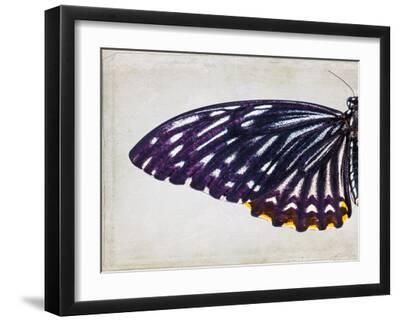Purple Butterfly I-Chaos & Wonder Design-Framed Art Print