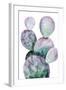 Purple Cactus II-Grace Popp-Framed Art Print