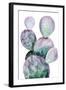 Purple Cactus II-Grace Popp-Framed Art Print