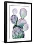 Purple Cactus II-Grace Popp-Framed Art Print