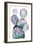 Purple Cactus II-Grace Popp-Framed Premium Giclee Print