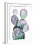 Purple Cactus II-Grace Popp-Framed Premium Giclee Print