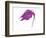 Purple Calla Lily-null-Framed Art Print