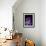 Purple Calla-Albert Koetsier-Framed Art Print displayed on a wall