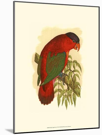 Purple-Capped Lory-null-Mounted Art Print