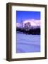 Purple Central Park Winter N�2-Guilherme Pontes-Framed Photographic Print