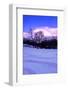 Purple Central Park Winter N�2-Guilherme Pontes-Framed Photographic Print