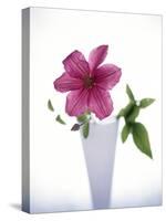 Purple clematis-null-Stretched Canvas