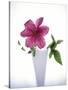 Purple clematis-null-Stretched Canvas