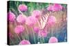 Purple Clives with Butterfly-melking-Stretched Canvas