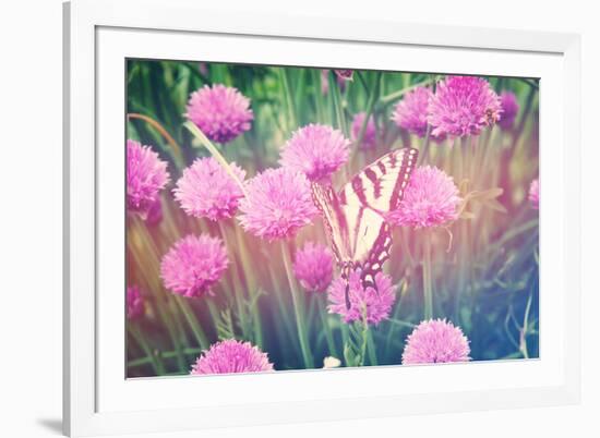 Purple Clives with Butterfly-melking-Framed Photographic Print