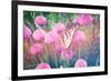 Purple Clives with Butterfly-melking-Framed Photographic Print