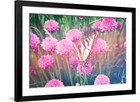 Purple Clives with Butterfly-melking-Framed Photographic Print