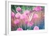 Purple Clives with Butterfly-melking-Framed Photographic Print