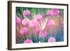 Purple Clives with Butterfly-melking-Framed Photographic Print