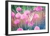 Purple Clives with Butterfly-melking-Framed Photographic Print