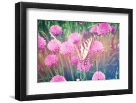 Purple Clives with Butterfly-melking-Framed Photographic Print