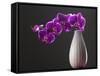 Purple Color Orchid in the Vase-eskay lim-Framed Stretched Canvas