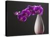 Purple Color Orchid in the Vase-eskay lim-Stretched Canvas