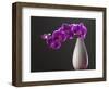 Purple Color Orchid in the Vase-eskay lim-Framed Photographic Print