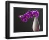 Purple Color Orchid in the Vase-eskay lim-Framed Photographic Print