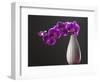 Purple Color Orchid in the Vase-eskay lim-Framed Photographic Print