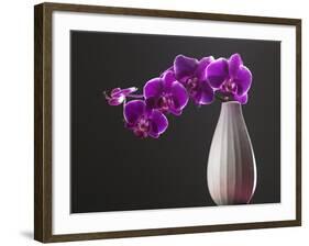 Purple Color Orchid in the Vase-eskay lim-Framed Photographic Print