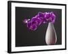 Purple Color Orchid in the Vase-eskay lim-Framed Photographic Print