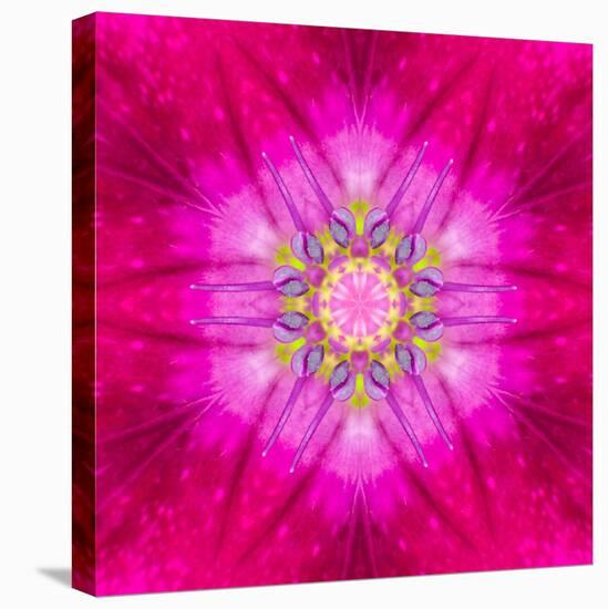 Purple Concentric Flower Center: Mandala Kaleidoscopic Design-tr3gi-Stretched Canvas