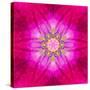 Purple Concentric Flower Center: Mandala Kaleidoscopic Design-tr3gi-Stretched Canvas