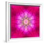 Purple Concentric Flower Center: Mandala Kaleidoscopic Design-tr3gi-Framed Premium Giclee Print