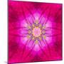 Purple Concentric Flower Center: Mandala Kaleidoscopic Design-tr3gi-Mounted Premium Giclee Print